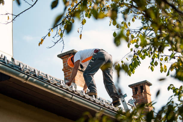 Gutter Installation and Roofing in Dooms, VA